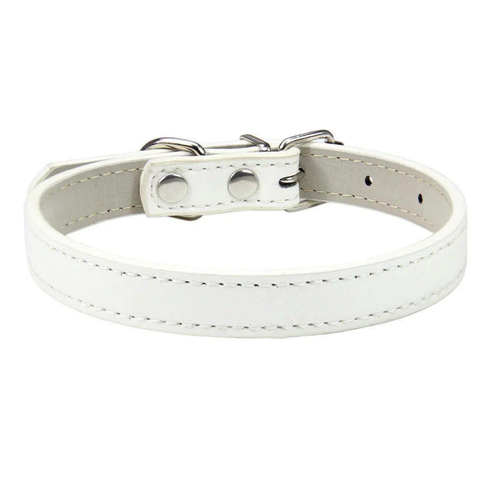 Collar for Dogs