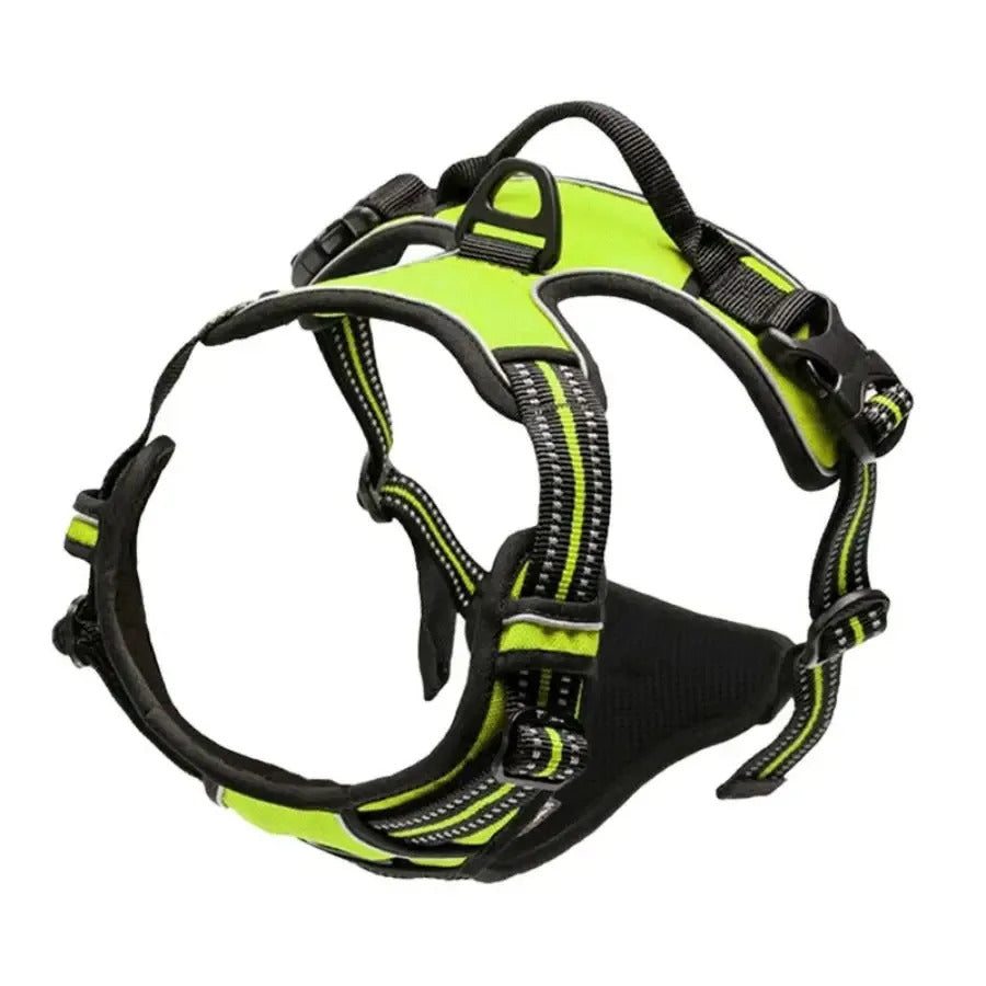 Dog harness