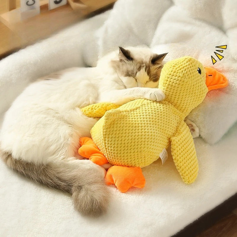 Squeaking Dog Toy