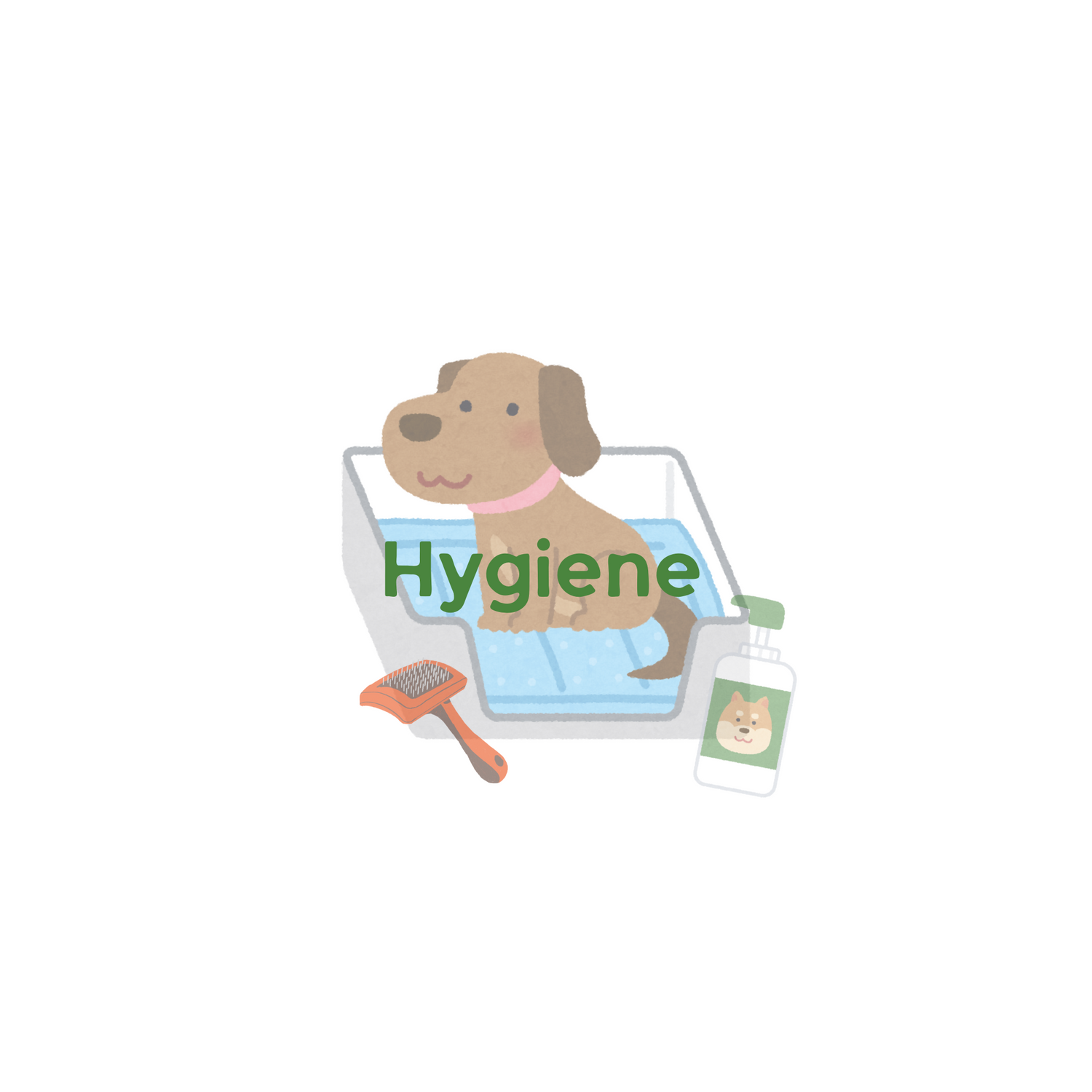 Dogs Hygiene