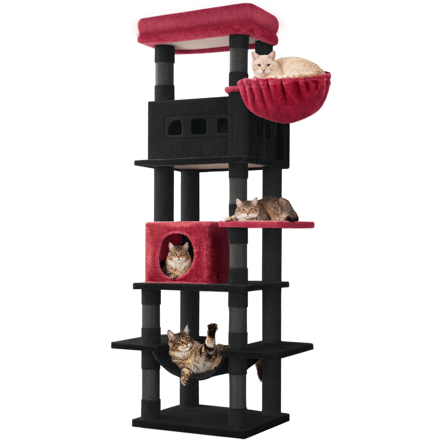 Cat Tree