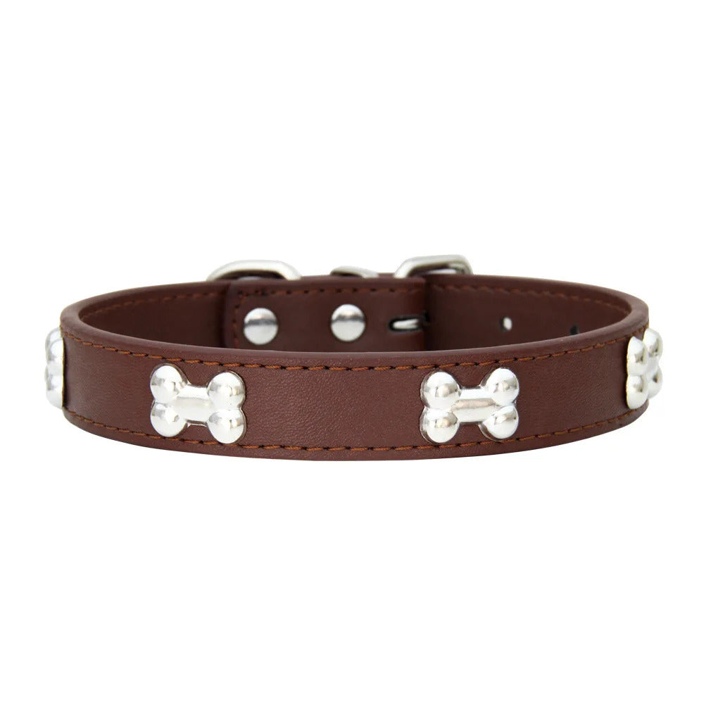 Collars for Dogs
