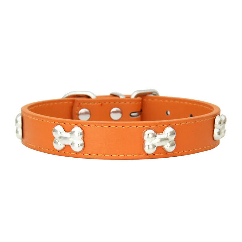Collars for Dogs