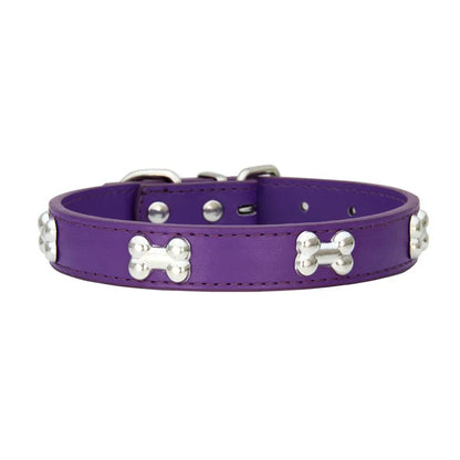 Collars for Dogs