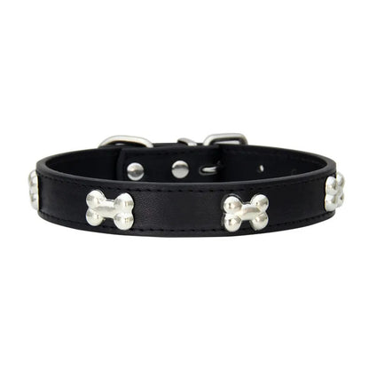 Collars for Dogs