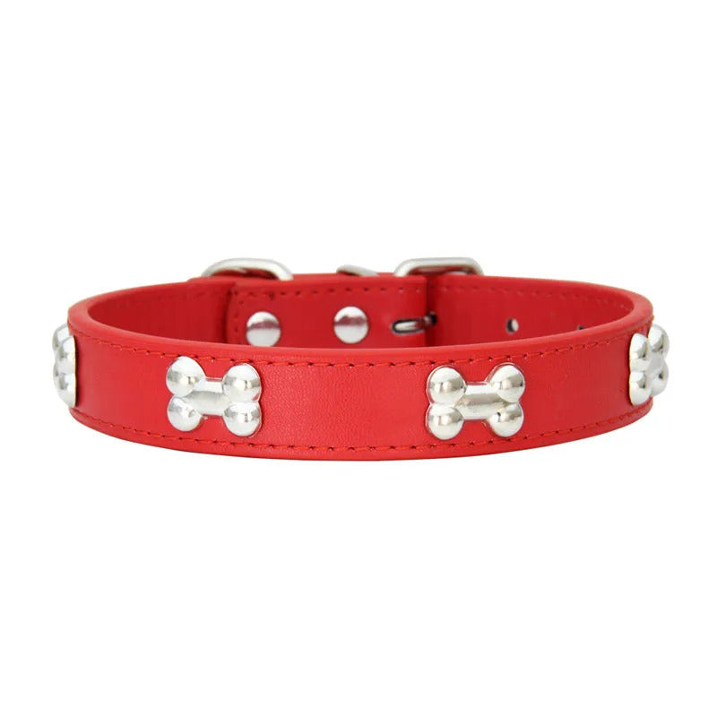 Collars for Dogs