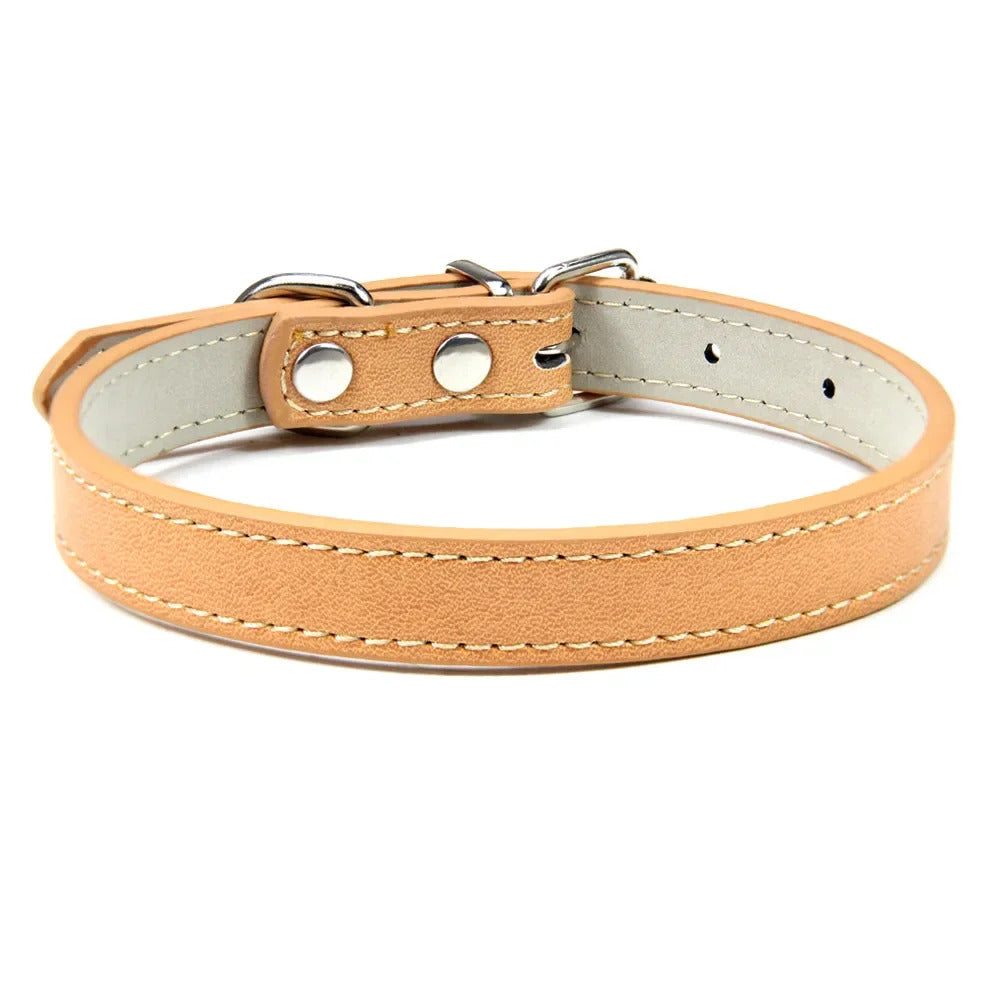 Collar for Dogs