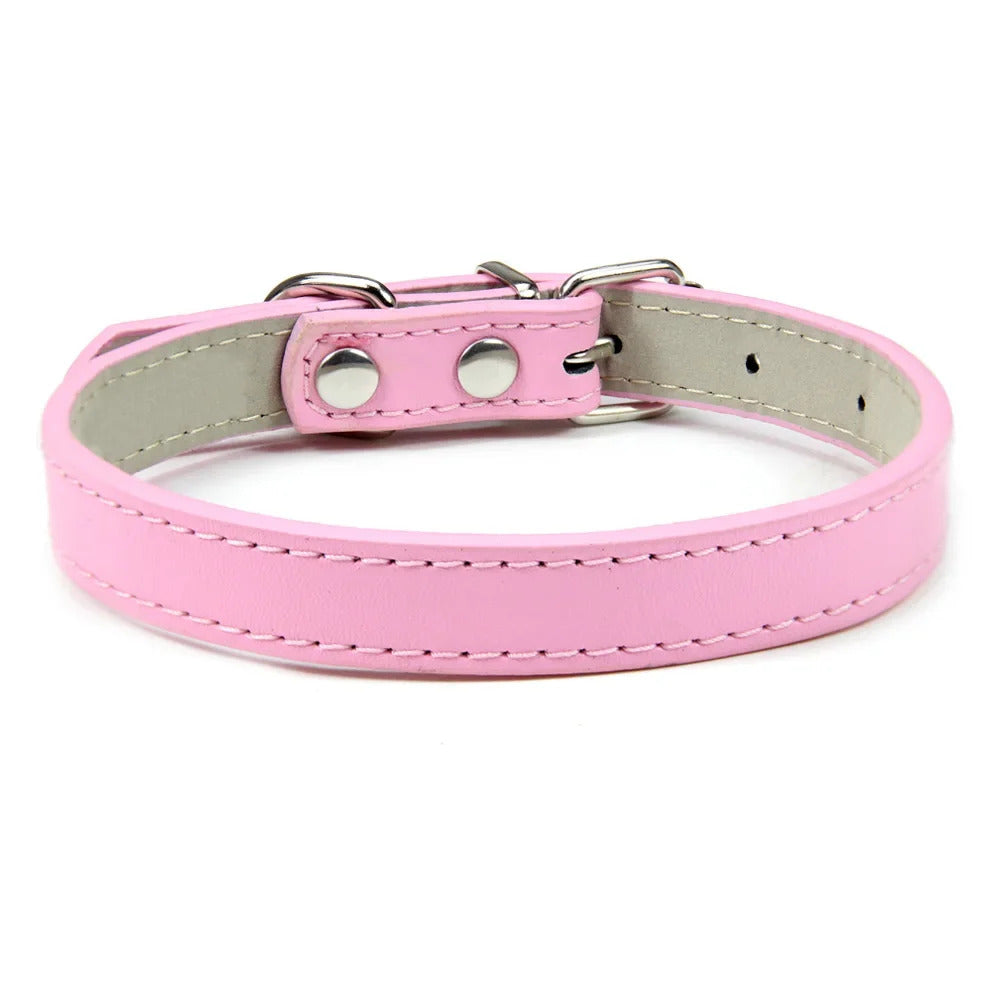 Collar for Dogs