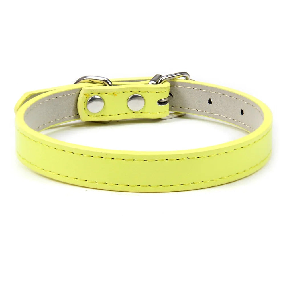 Collar for Dogs