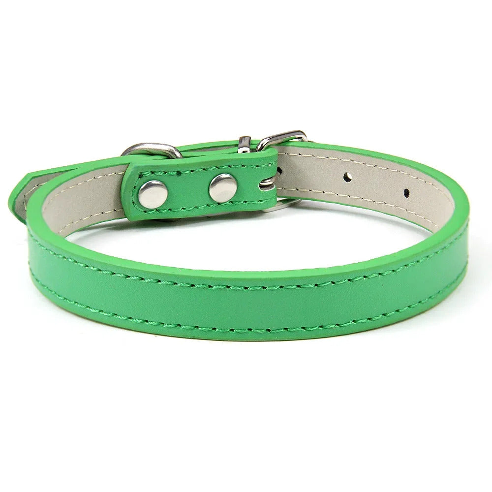 Collar for Dogs