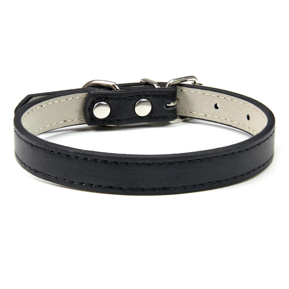 Collar for Dogs