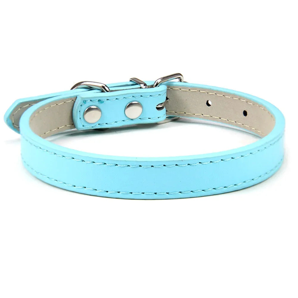 Collar for Dogs