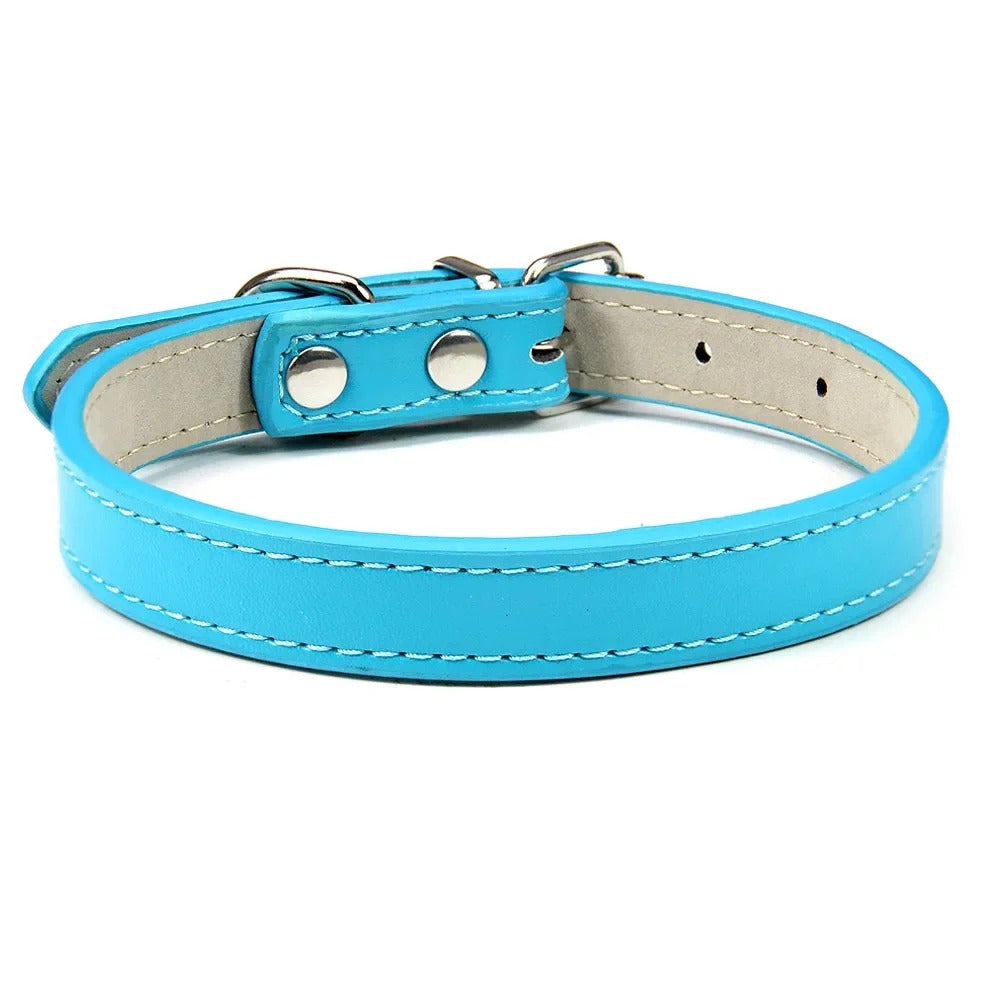 Collar for Dogs