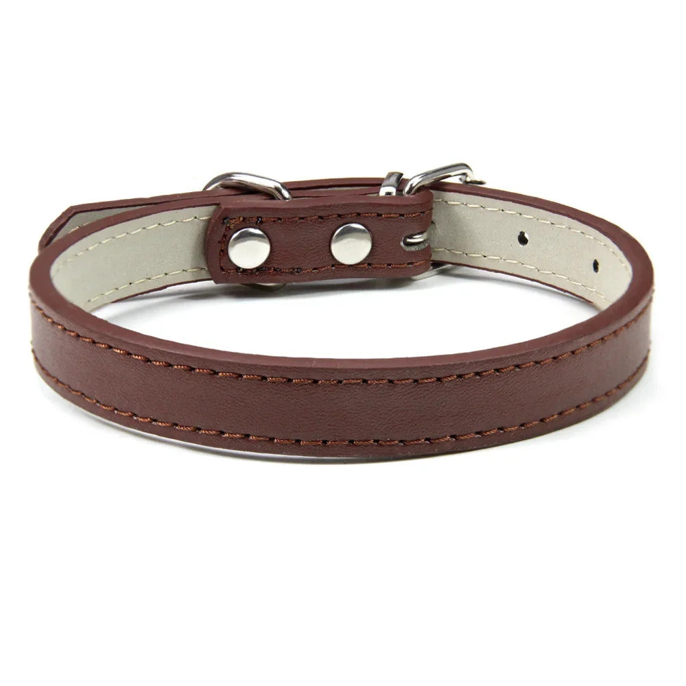 Collar for Dogs