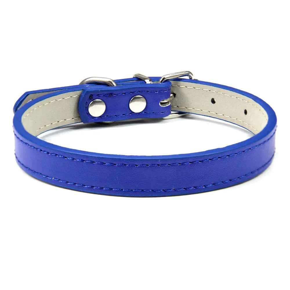 Collar for Dogs