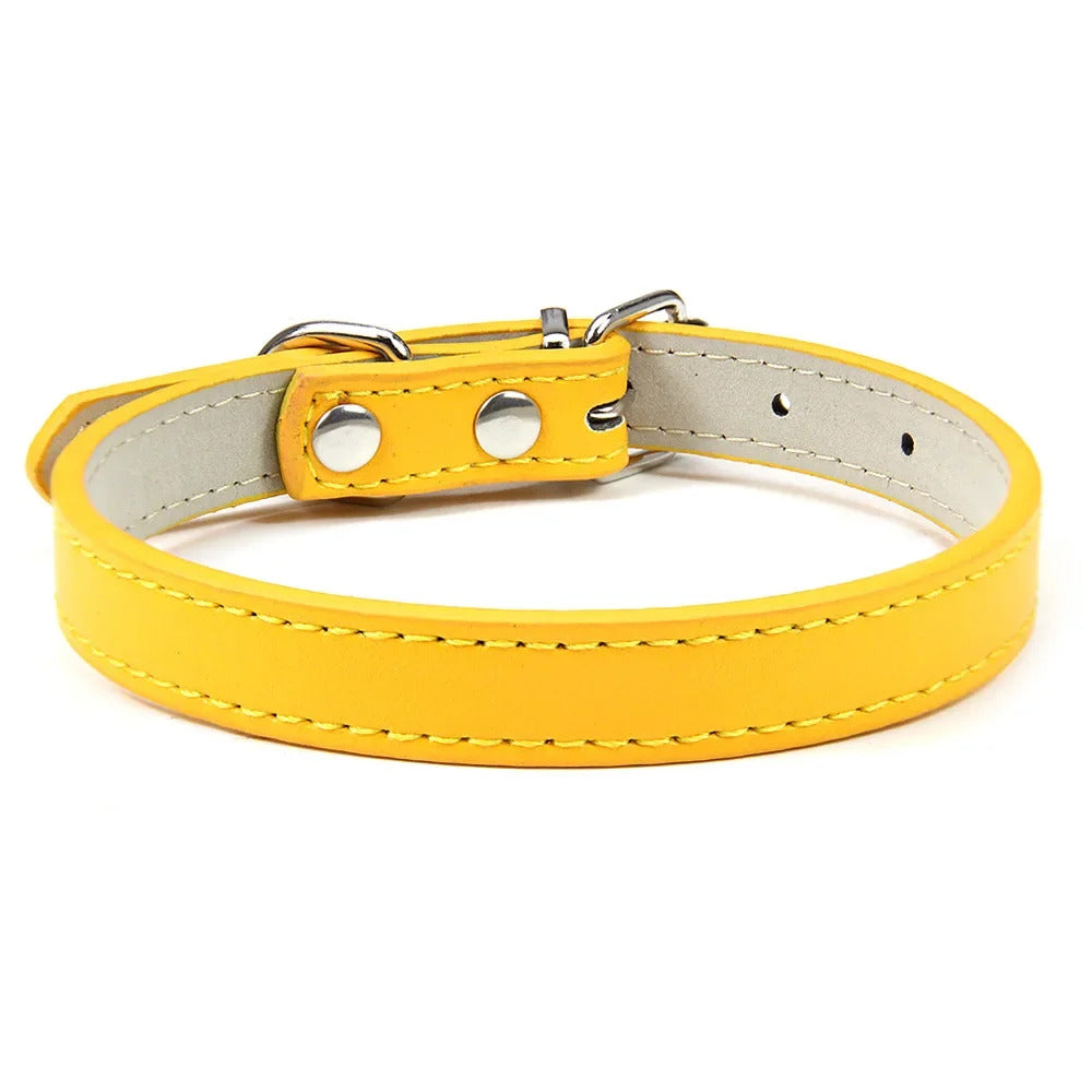 Collar for Dogs