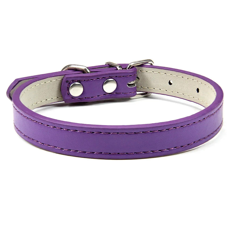 Collar for Dogs