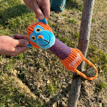 Dog Toy