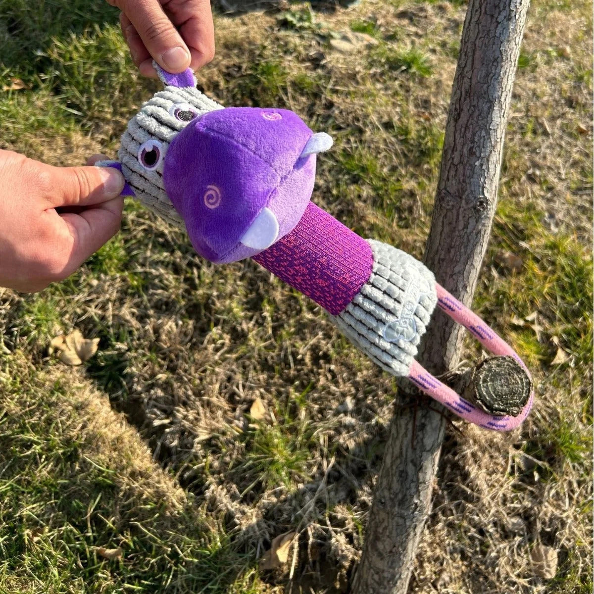 Dog Toy