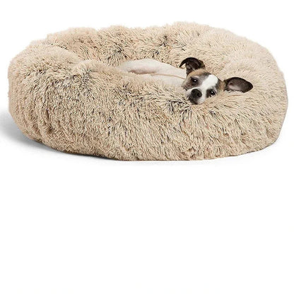 Bed for Dogs & Cats