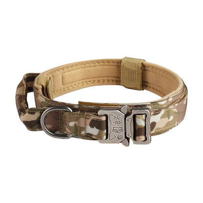 Collar for Dogs