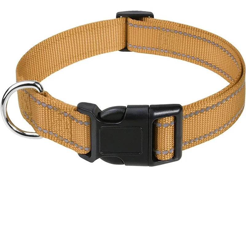 Collar for Dogs