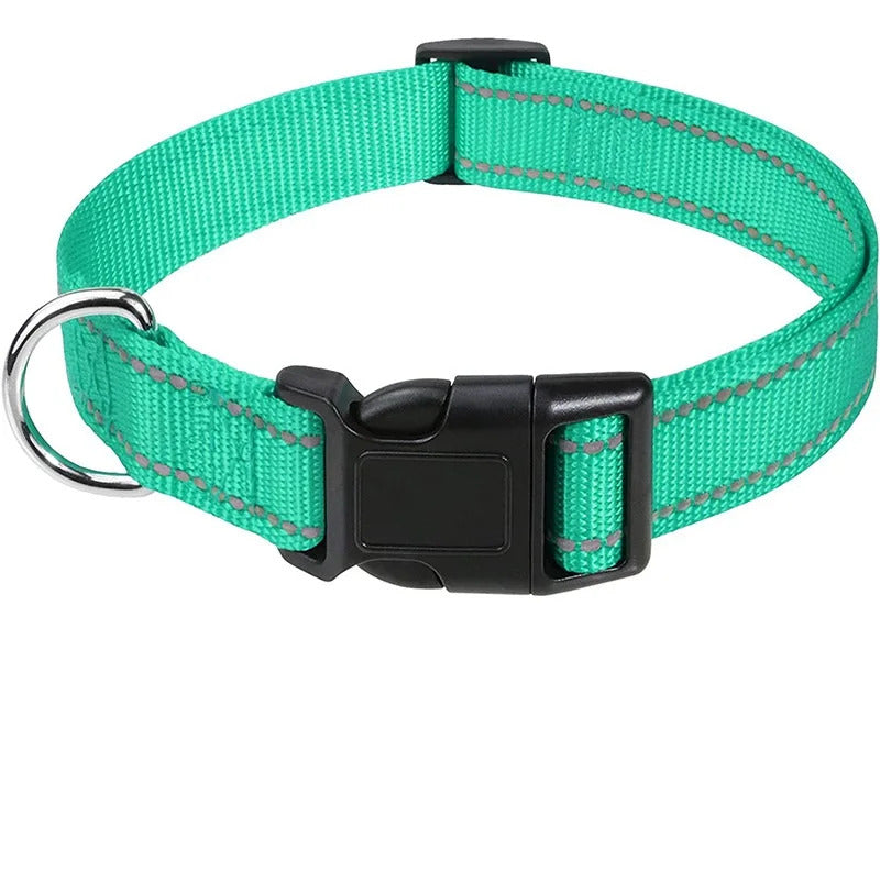 Collar for Dogs