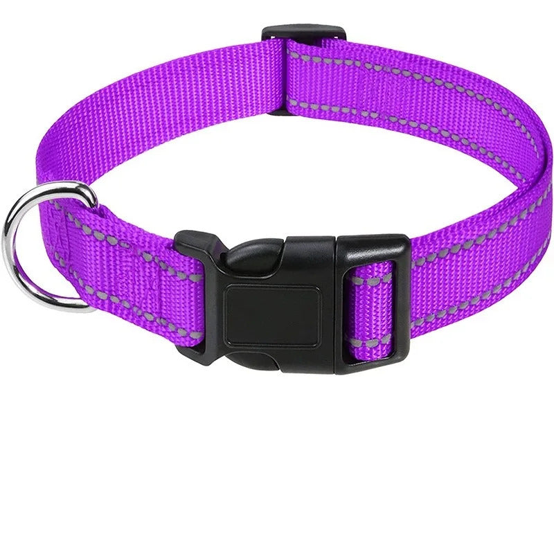 Collar for Dogs