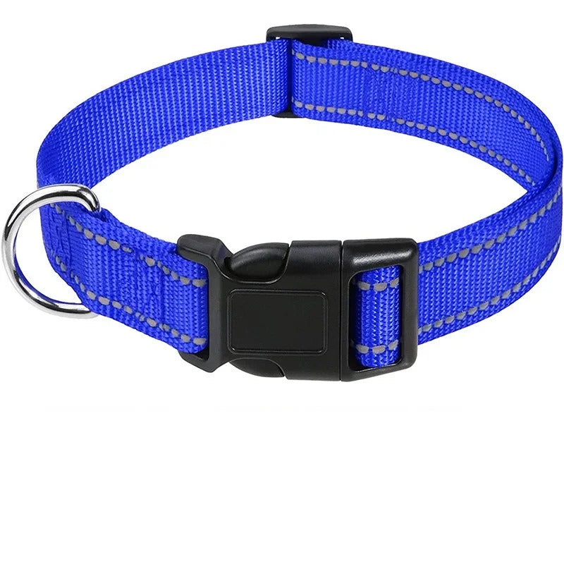 Collar for Dogs