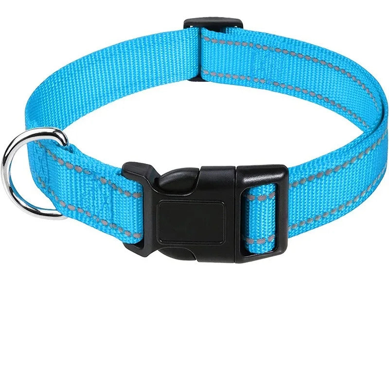 Collar for Dogs