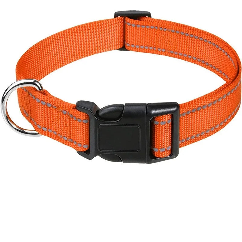 Collar for Dogs