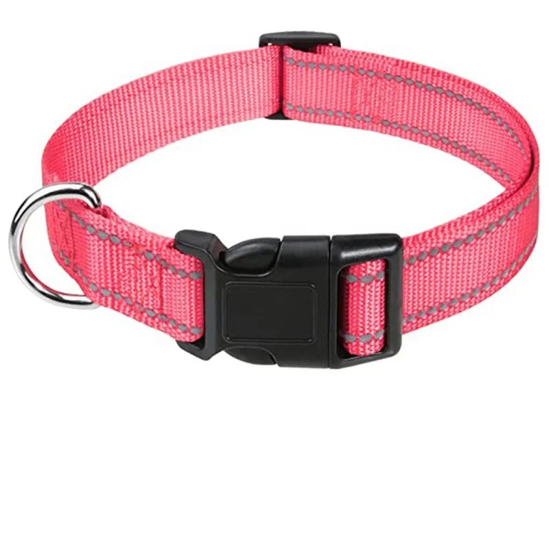 Collar for Dogs
