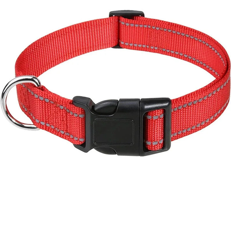 Collar for Dogs