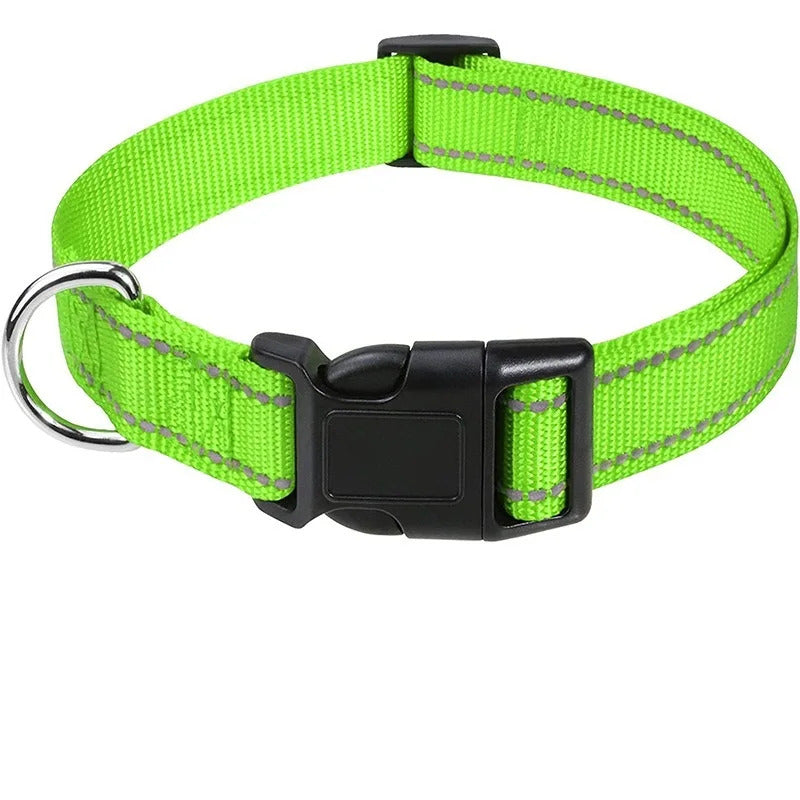 Collar for Dogs