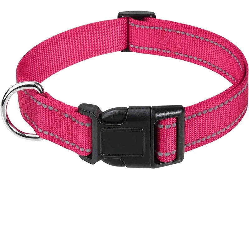 Collar for Dogs