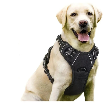 Dog harness