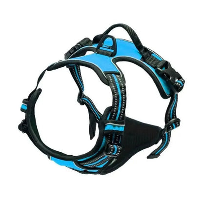 Dog harness