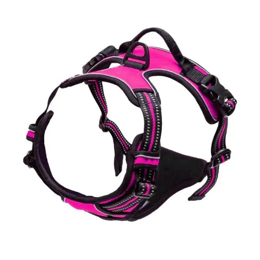 Dog harness
