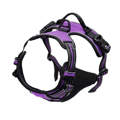 Dog harness
