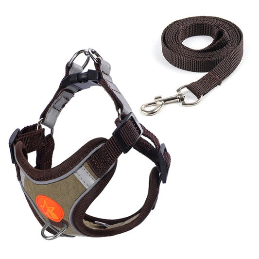 Dog Harness