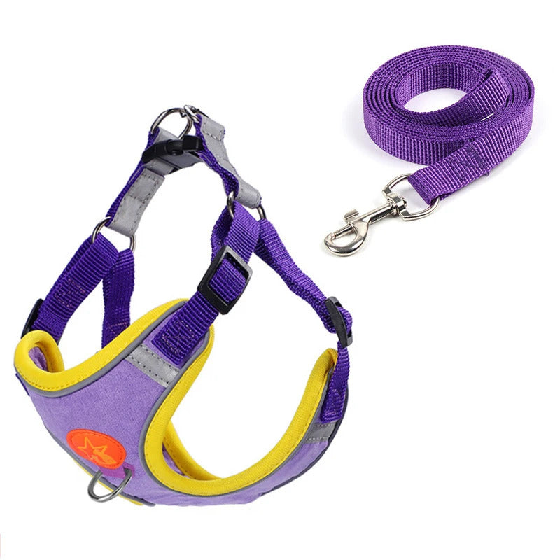 Dog Harness
