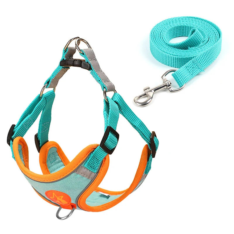 Dog Harness
