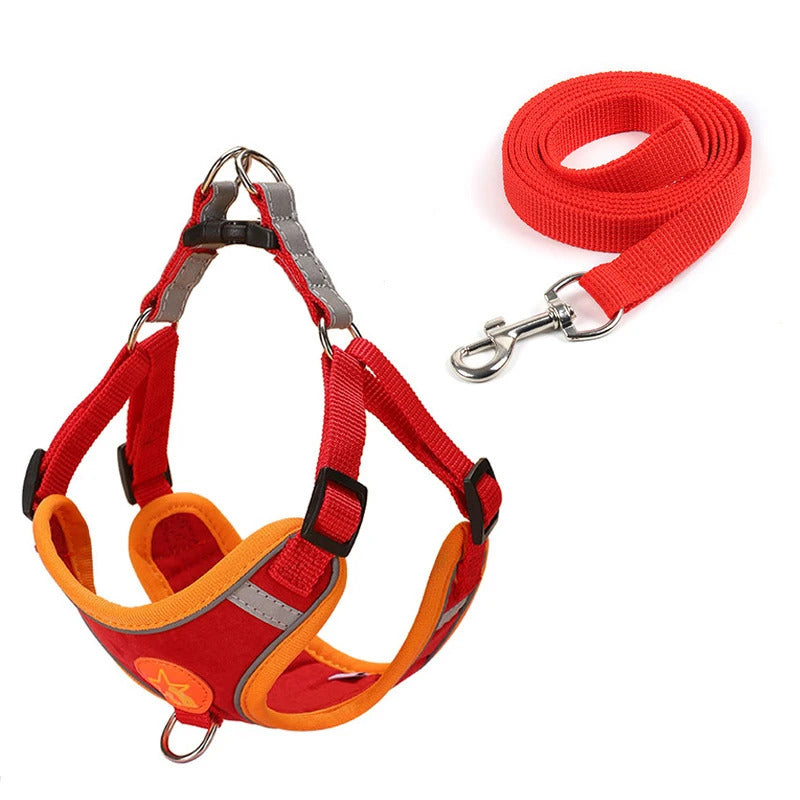 Dog Harness