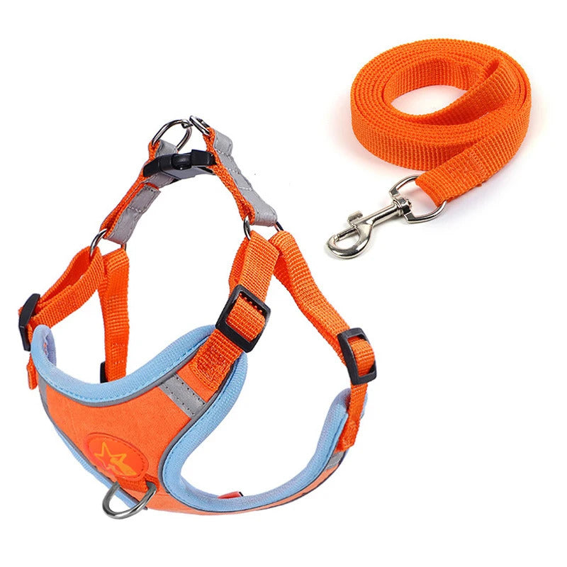 Dog Harness