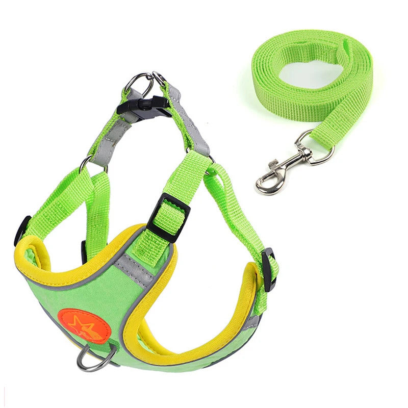 Dog Harness
