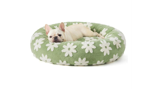 Bed for Dogs & Cats