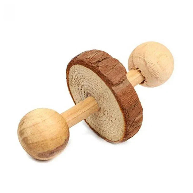 Toys for Rodents