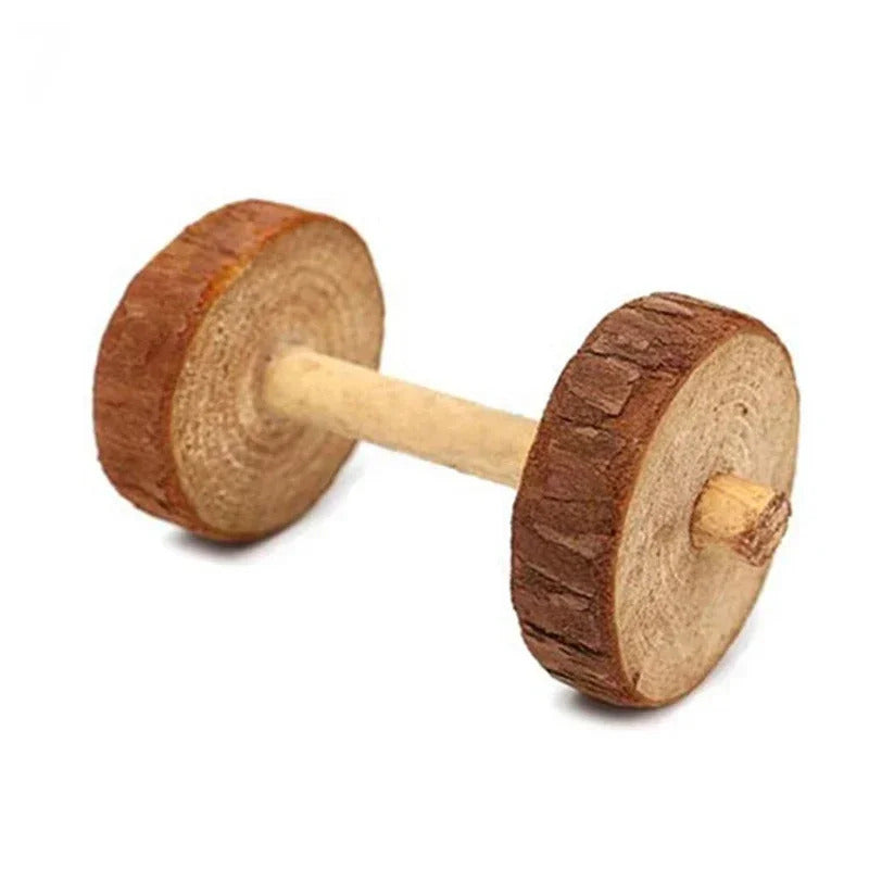 Toys for Rodents