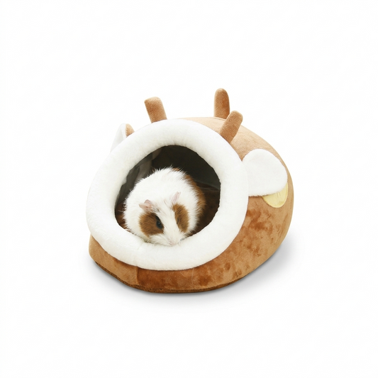 House for Rodents