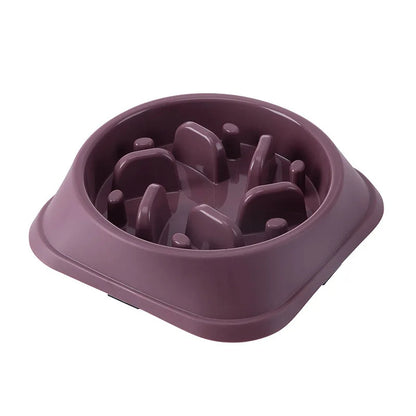 Slow Feeder Bowls for Dogs & Cats